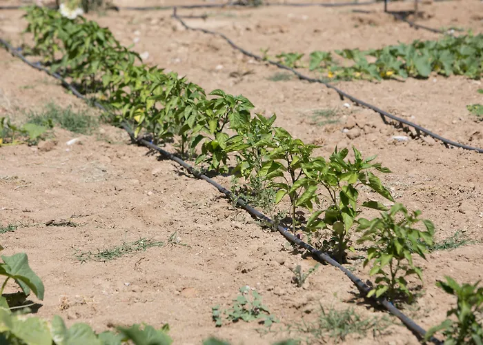 Iliada Agios Prokopios (Naxos)